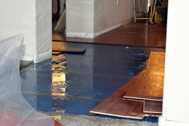 Professional Emergency Water Damage Restoration technician working in Thorn Hill, TN